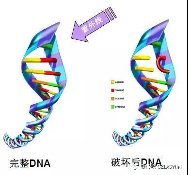 疫情当下，泳池场馆的运营者们还能轻视消毒吗？